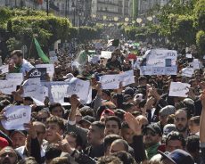 Manifestation en Algérie : un faux procès public règle son compte au pouvoir (VIDEO)
