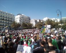 Algérie / Face à la crise politique