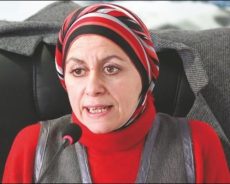 Algérie / Louisa Aït Hamadouche:« L’option de la Présidence collégiale est un bon compromis temporaire »