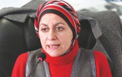 Algérie / Louisa Aït Hamadouche:« L’option de la Présidence collégiale est un bon compromis temporaire »