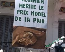 Algérie / La manifestation du 7e Vendredi en images