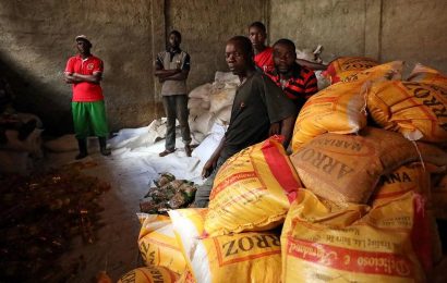 La pauvreté menace encore des régions entières : L’Afrique face au défi de la sécurité alimentaire