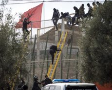 Maroc / Plus de 2.500 migrants interceptés à Melilla depuis le mois de février