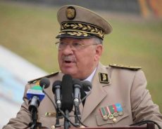 Algérie / Discours intégral du chef d’état major de l’ANP Ahmed Gaïd Salah