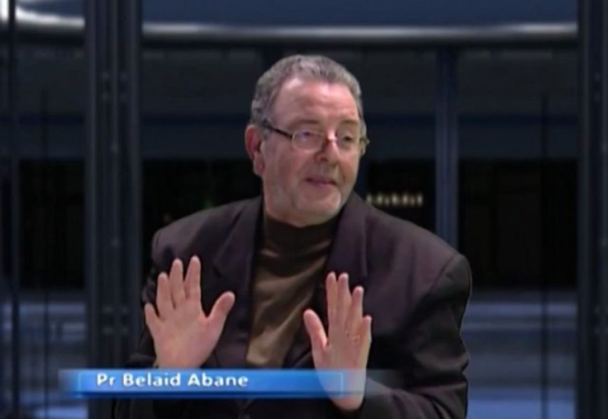 Algérie / Le professeur Belaïd Abane : « L’armée ne veut que la stabilité du pays »