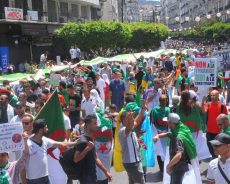 Les médias algériens à l’épreuve du hirak : «Mutation en Algérie, mutations dans les médias» à l’IMA