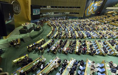 ONU / L’Assemblée générale des Nations Unies (74ème session)
