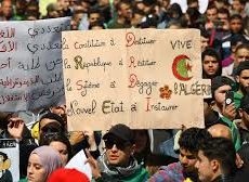 Algérie / Résignés et indifférents : l’enjeu