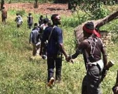 Le conflit anglophone au Cameroun. Un dialogue sans partenaires