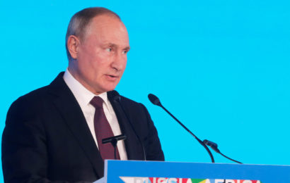 Poutine : «Le terrorisme, le piratage et le printemps arabe empêchent le développement» de l’Afrique