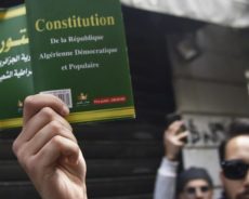 Algérie / La nouvelle République au prisme de la révision constitutionnelle
