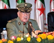 Algérie / Ahmed Gaïd Salah dit non à l’ingérence étrangère