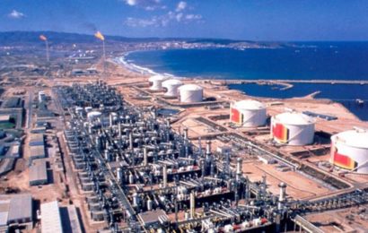 Des États Généraux de l’énergie – Une utopie mobilisatrice pour construire l’Algérie