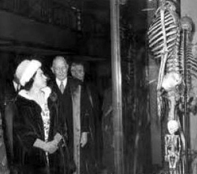 Histoire Occultée : Des squelettes géants d’une hauteur de 7 mètres
