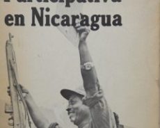 Démocratie participative et lutte des classes : Les cas français et nicaraguayen