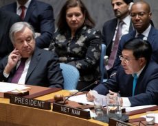 Conseil de Sécurité : le Vietnam privilégie le respect de la Charte de l’ONU
