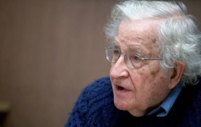 Du langage et de l’humanité. Conversation avec Noam Chomsky