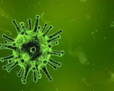Lutte de l’Afrique au sujet du coronavirus (étude)