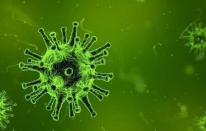 Lutte de l’Afrique au sujet du coronavirus (étude)