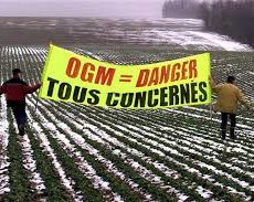 OGM, Glyphosate : que nous cache notre assiette ? (vidéo)