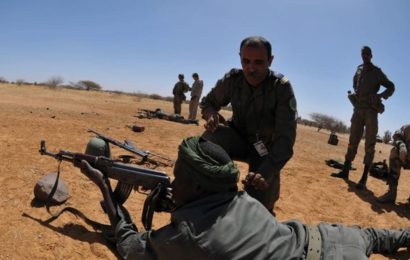 La renaissance de l’« armée des sables ». Succès et défis des forces armées mauritaniennes