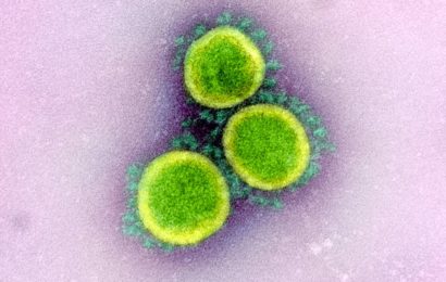 Quel est le temps de survie sur les surfaces du coronavirus qui cause le covid-19