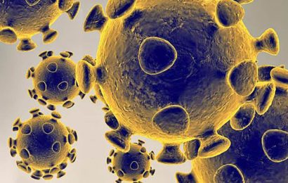 Épidémie de Coronavirus Covid-19 : explications, analyses et conseils
