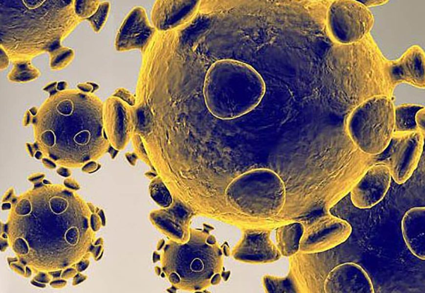Épidémie de Coronavirus Covid-19 : explications, analyses et conseils
