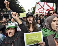 Mahdi Berrached : « Les Algériens ont trouvé dans leur derdja une langue radicale qui a permis d’élever le plafond des revendications »