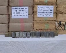 L’armée algérienne saisit près de trois tonnes de cannabis à la frontière avec le Maroc – images