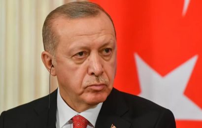 «Si la Syrie s’entend militairement avec les Émirats, Erdogan est fichu», selon Tahhan