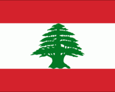 Liban: l’axe de la Résistance veille sur le pays du Cèdre