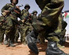 Opérations extérieures : jusqu’où ira l’armée algérienne?