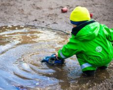 Le microbe et le terrain