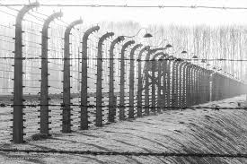 Les nazis se sont vantés d’avoir fait six millions de victimes de l’Holocauste, mais c’est un Juif qui a été le premier à citer ce chiffre