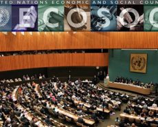 ECOSOC / Organisation des travaux de la session de 2020 du Conseil économique et social (ONU)