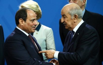 Égypte : Les lignes de force de la diplomatie égyptienne en direction du Moyen-Orient