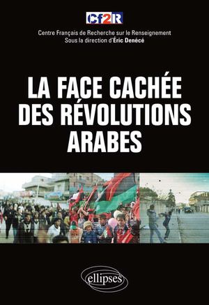Livre / « La face cachée des révolutions arabes »