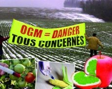 Lettre ouverte pour l’interdiction des OGM issus du forçage génétique