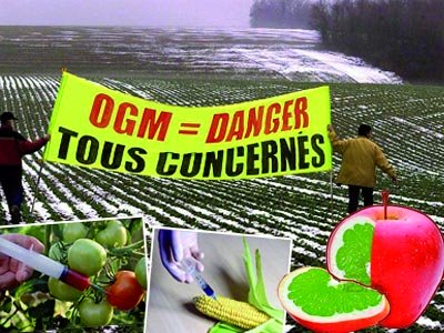 Lettre ouverte pour l’interdiction des OGM issus du forçage génétique