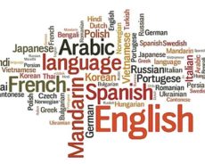 Algérie / Mokri et le ressentiment linguistique