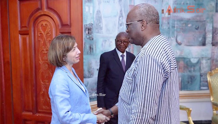 Mali / Lettre ouverte à la Ministre des armées, Florence Parly