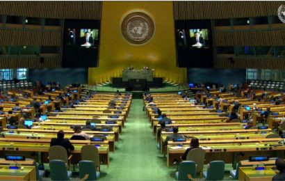 Assemblée générale des Nations Unies : 75ème session