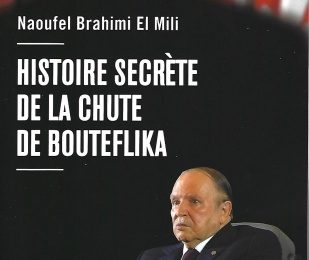 Algérie / «Histoire secrète de la chute de Bouteflika» : Naoufel Brahimi El Mili, récit d’une fin de règne