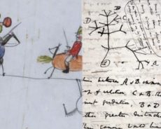 La descendance de Darwin  (I & II)