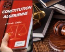 Le projet de révision constitutionnelle en Algérie : Le conflit entre le Droit et la Politique
