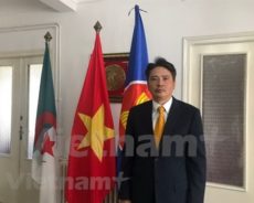 Vietnam – Algérie : de riches potentiels pour promouvoir le commerce et l’investissement