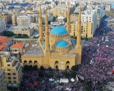 Liban : festin dans un nid de vautours