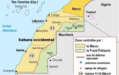 Sahara occidental : mémoires coloniales, regards postcoloniaux