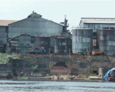 RD Congo / Un nouveau rapport illustre l’échec monumental du financement par les banques de développement européennes d’une plantation de l’ère coloniale
